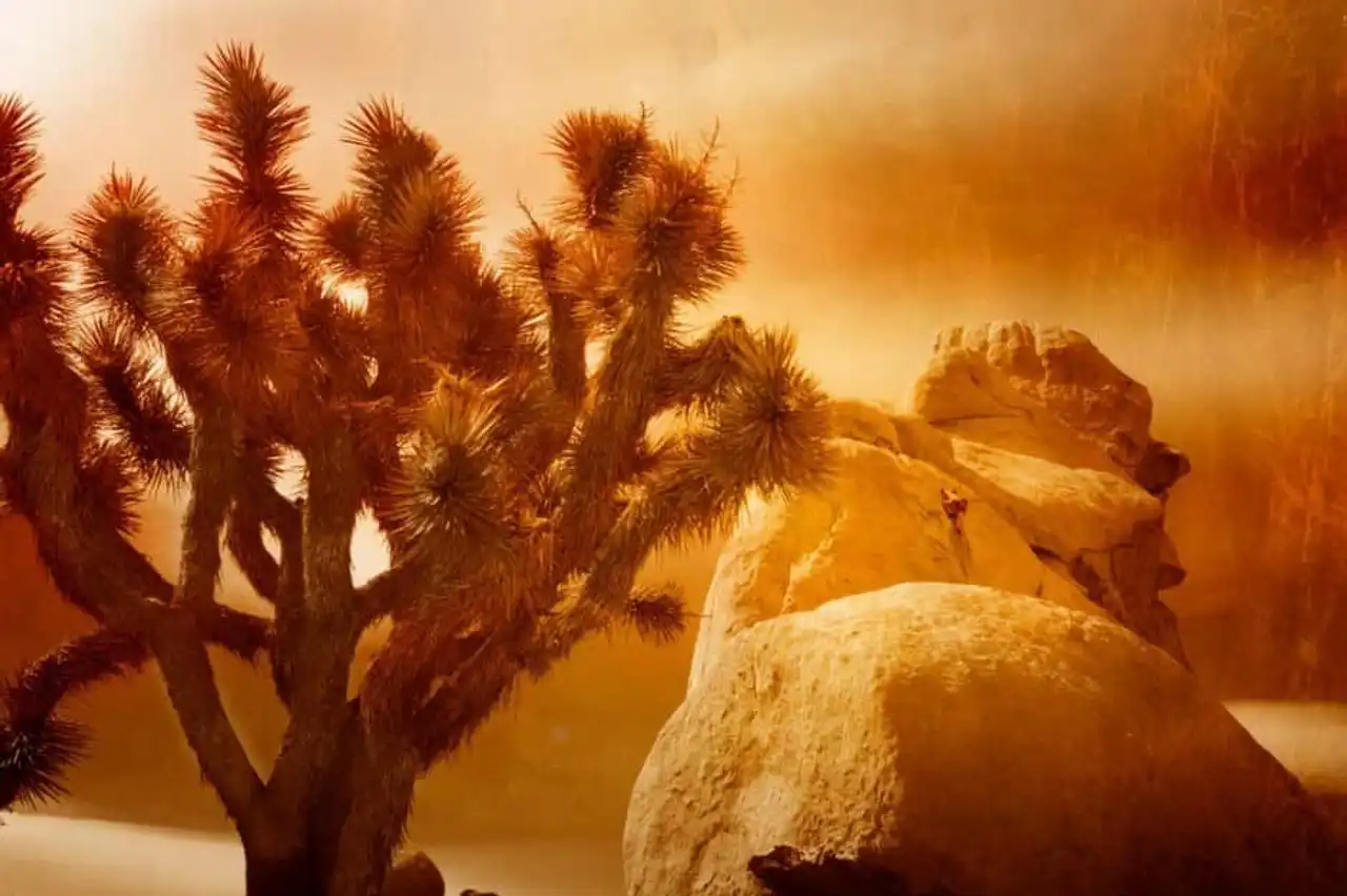 photos of impressive climbing spots