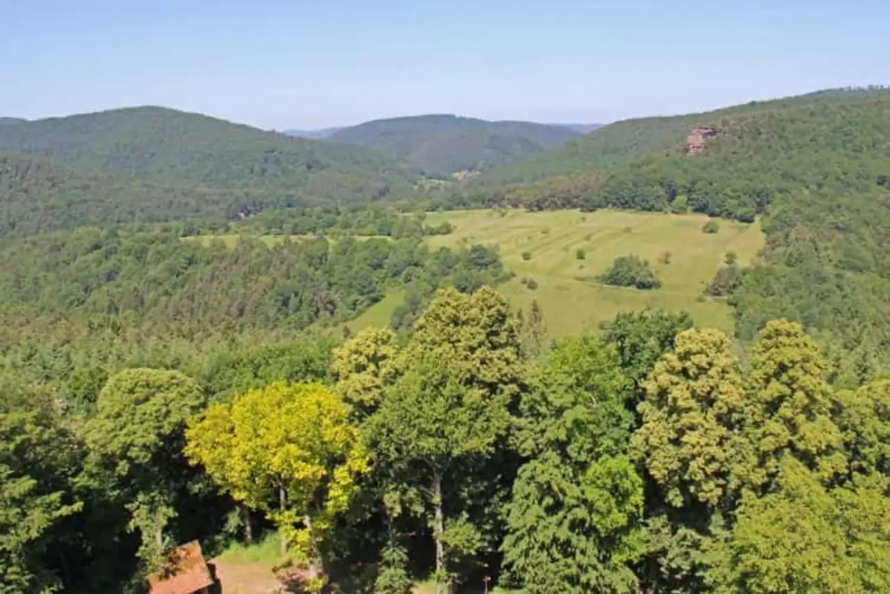Jump to Parachute in France Haguenau